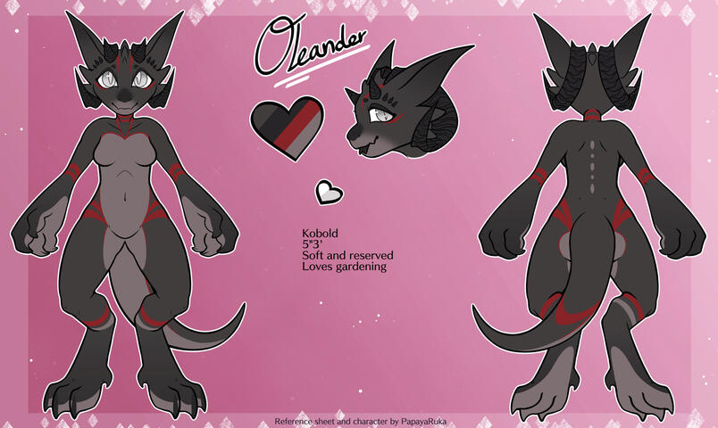 Symetrical Reference Sheet (Starts at 70€)